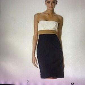 DVF Diane von Furstenberg Color Block Rhythm Strapless Midi Pencil Dress Sz P2